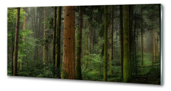 Panou sticla securizata bucatarie Ceață în pădure