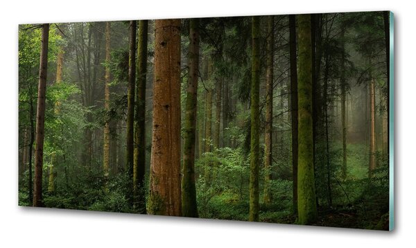 Panou sticla securizata bucatarie Ceață în pădure