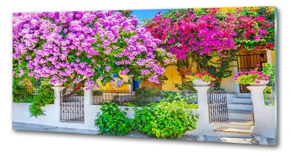 Sticlă pentru bucătărie Casa cu bougainvillea