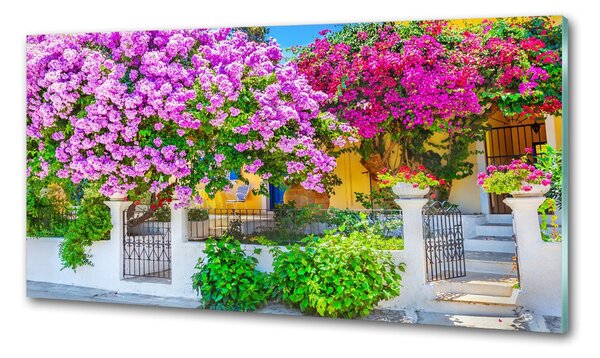 Sticlă pentru bucătărie Casa cu bougainvillea