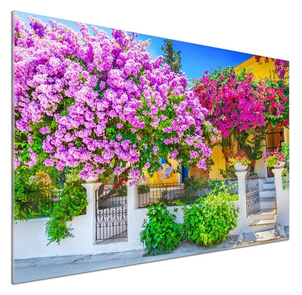 Sticlă pentru bucătărie Casa cu bougainvillea