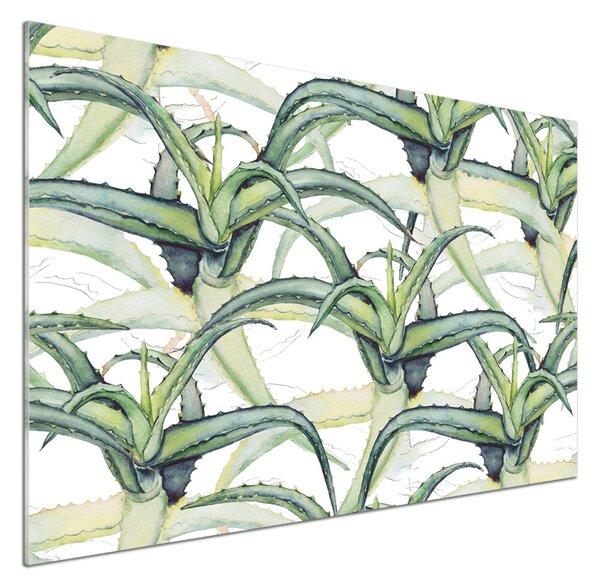 Sticlă pentru bucătărie Aloe