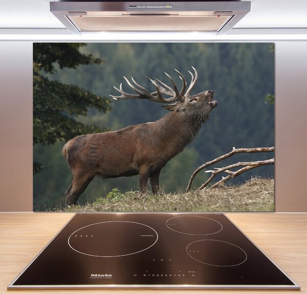Sticlă bucătărie Deer pe deal