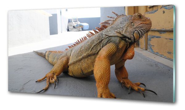 Panou sticlă bucătărie Iguană