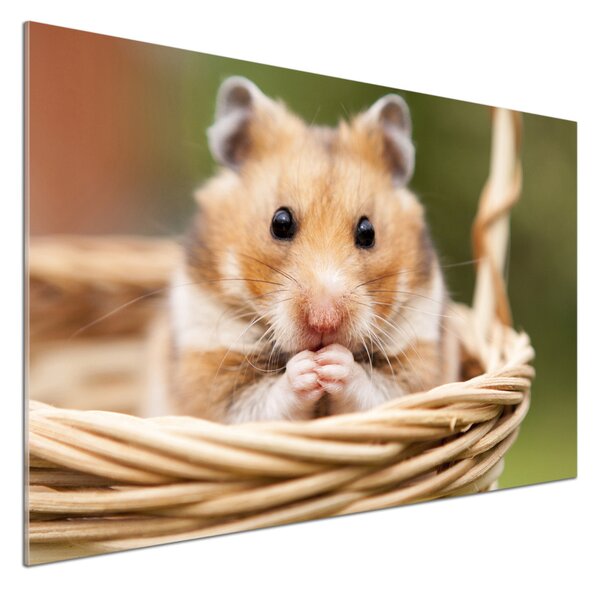 Sticlă bucătărie Hamster în coș