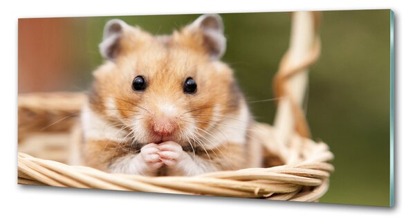 Sticlă bucătărie Hamster în coș