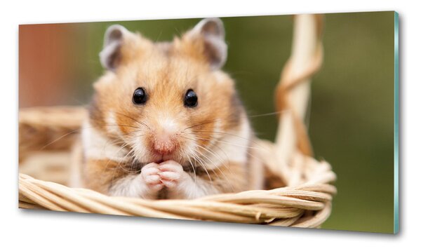 Sticlă bucătărie Hamster în coș