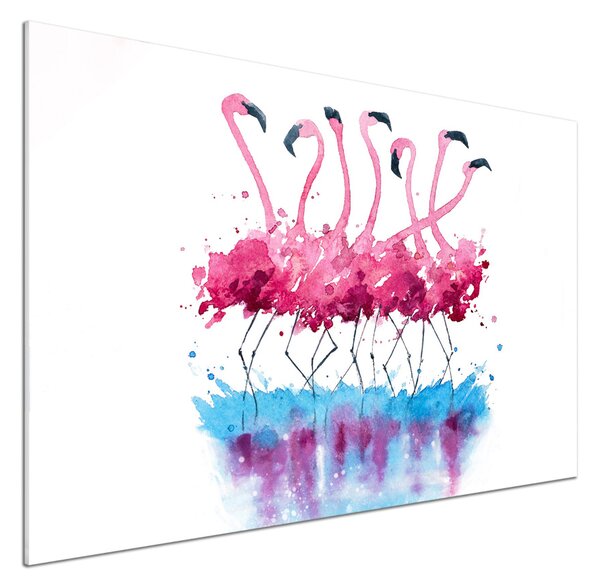 Panou sticla securizata bucatarie Flamingos