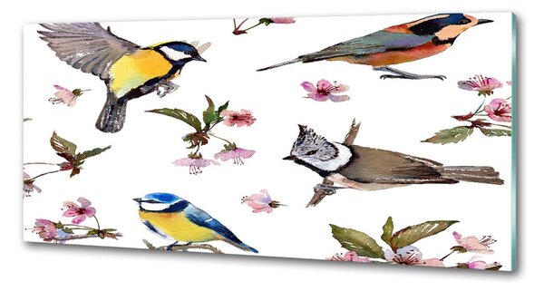 Panou sticlă bucătărie Bird flori de cires