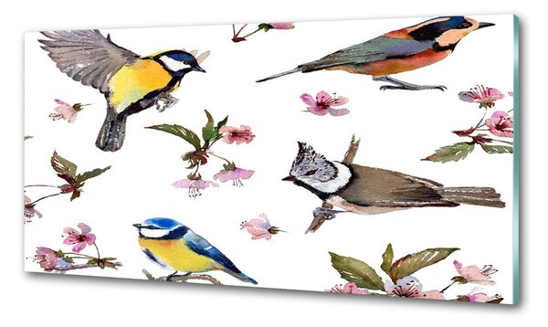 Panou sticlă bucătărie Bird flori de cires