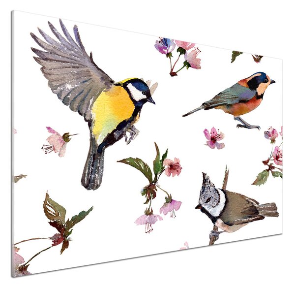 Panou sticlă bucătărie Bird flori de cires
