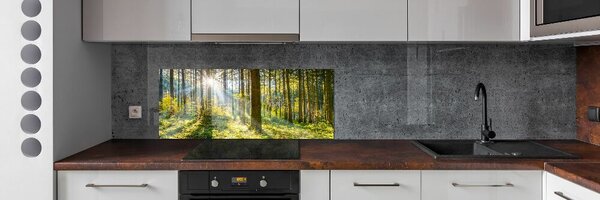 Panou sticlă decorativa bucătărie Pădurea în soare