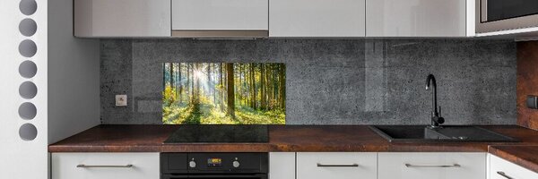 Panou sticlă decorativa bucătărie Pădurea în soare
