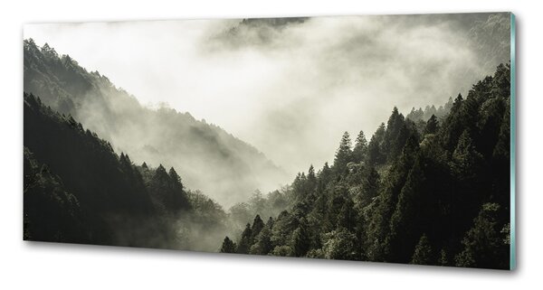 Sticlă printata bucătărie Ceață peste pădure