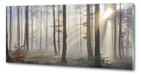 Sticlă pentru bucătărie Ceață în pădure