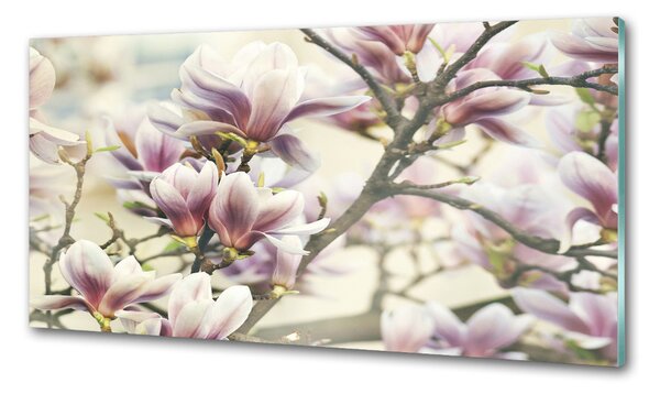 Panou sticlă decorativa bucătărie Magnolie
