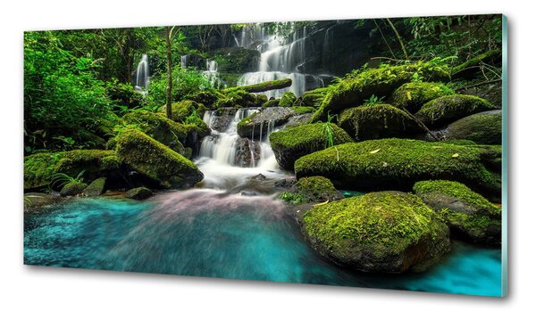 Sticlă pentru bucătărie Cascada din junglă