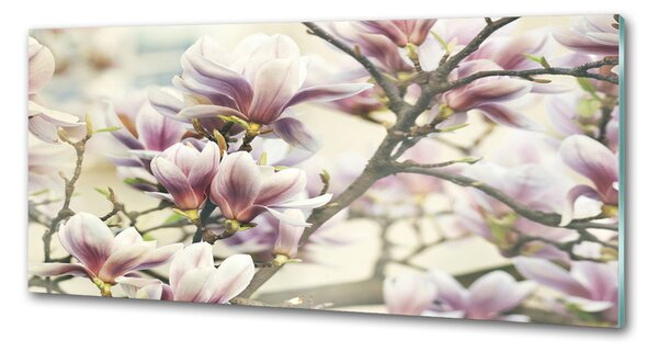 Panou sticlă decorativa bucătărie Magnolie