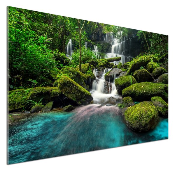 Sticlă pentru bucătărie Cascada din junglă