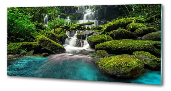 Sticlă pentru bucătărie Cascada din junglă
