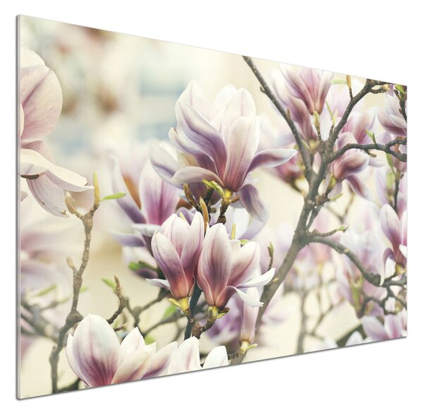 Panou sticlă decorativa bucătărie Magnolie