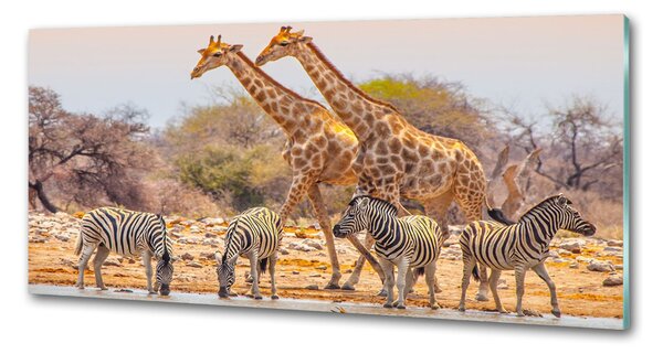 Panou sticla securizata bucatarie Girafe și zebre