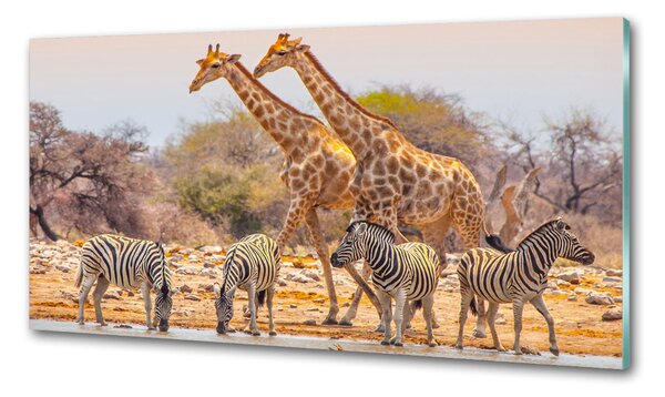 Panou sticla securizata bucatarie Girafe și zebre