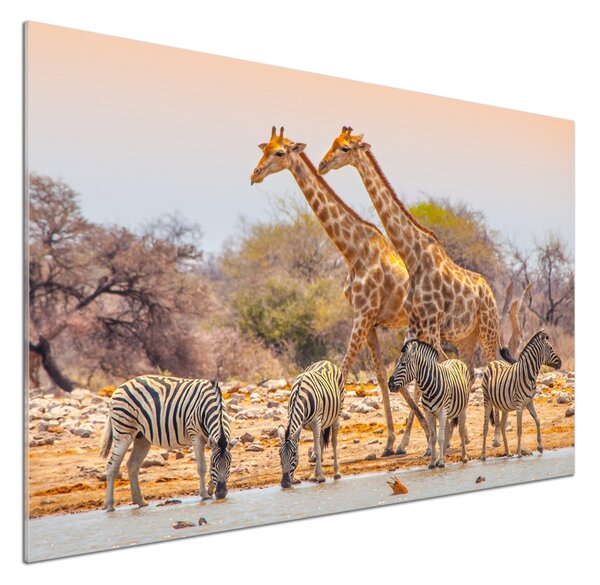 Panou sticla securizata bucatarie Girafe și zebre
