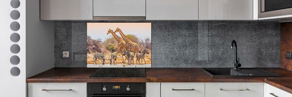 Panou sticla securizata bucatarie Girafe și zebre