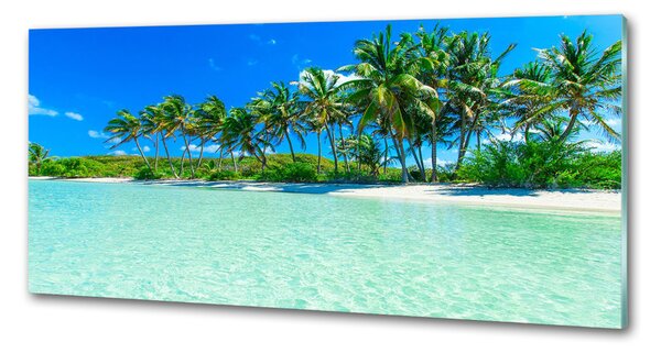 Sticlă printata bucătărie plaja tropicala