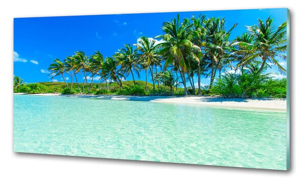 Sticlă printata bucătărie plaja tropicala