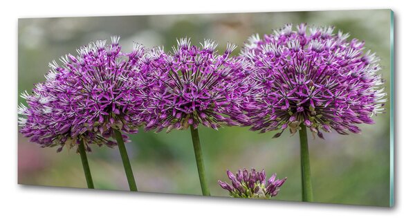 Panou de bucătărie floare de usturoi