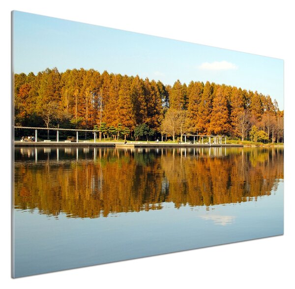 Panou de bucătărie Lake Forest