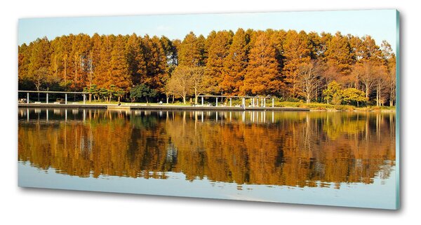 Panou de bucătărie Lake Forest