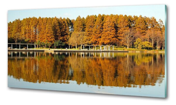 Panou de bucătărie Lake Forest