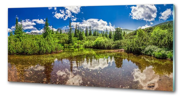 Sticlă pentru bucătărie Lacul în pădure