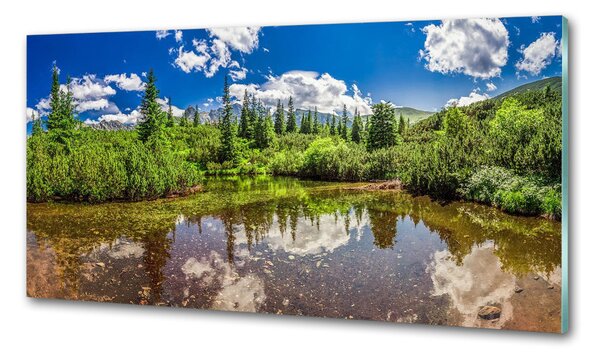 Sticlă pentru bucătărie Lacul în pădure