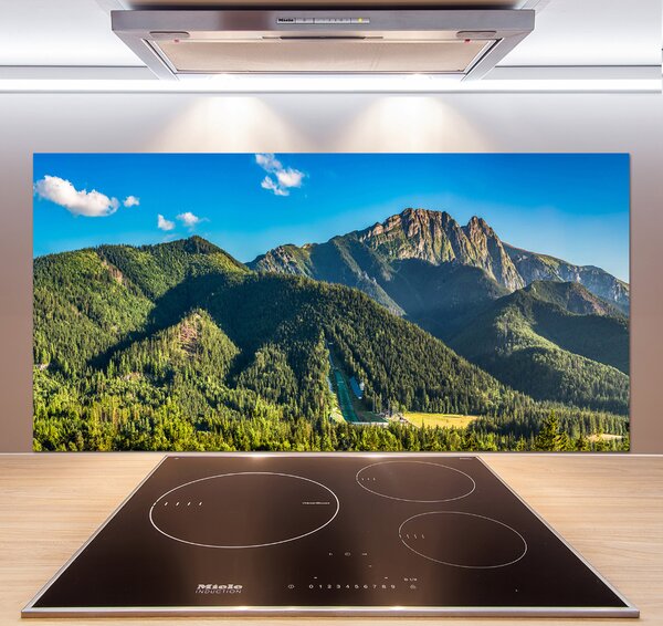 Sticlă pentru bucătărie panorama Tatra