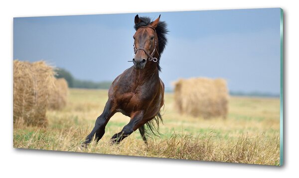 Panou perete bucătărie Un cal în galop