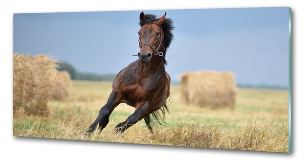 Panou perete bucătărie Un cal în galop