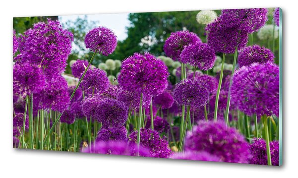 Panou sticla securizata bucatarie flori de usturoi