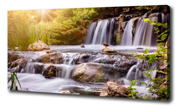 Tablou canvas Cascadă