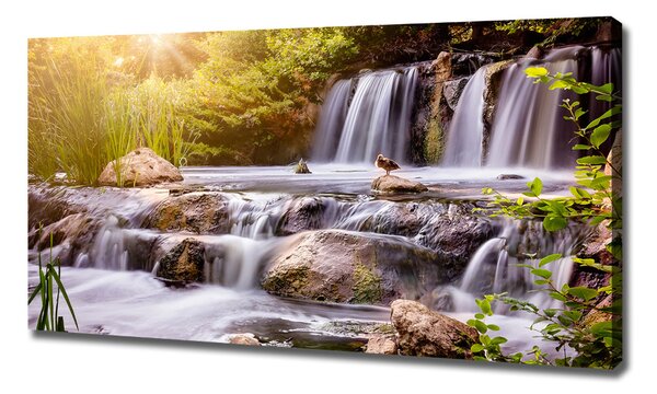 Tablou canvas Cascadă