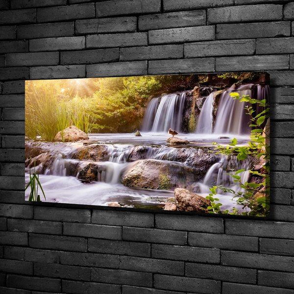 Tablou canvas Cascadă