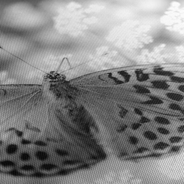 Tablou - Detailu cu fluture care polenizează floare (120x50 cm)