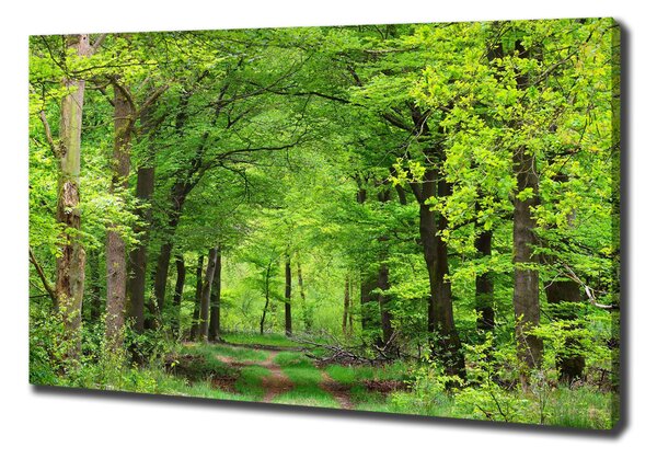 Tablou canvas pădure de primăvară