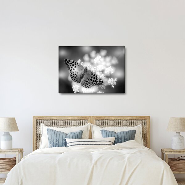 Tablou - Detailu cu fluture care polenizează floare (70x50 cm)