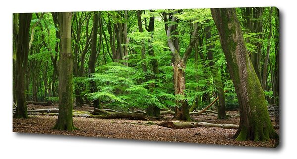 Pictură pe pânză pădure olandeză