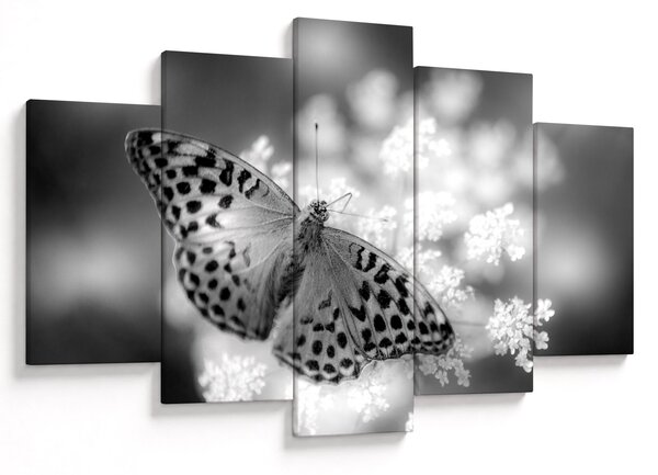 Tablou - Detailu cu fluture care polenizează floare (150x105 cm)