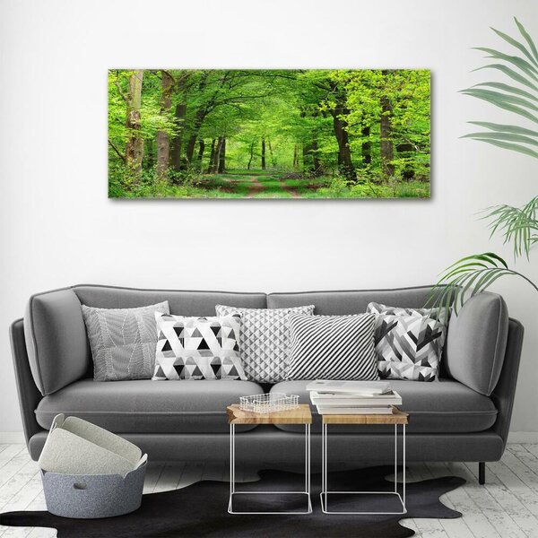 Tablou canvas pădure de primăvară